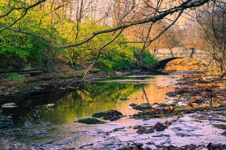 Beautiful shot of a river in Trible County