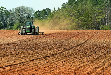 Farmland in Scott County, Indiana